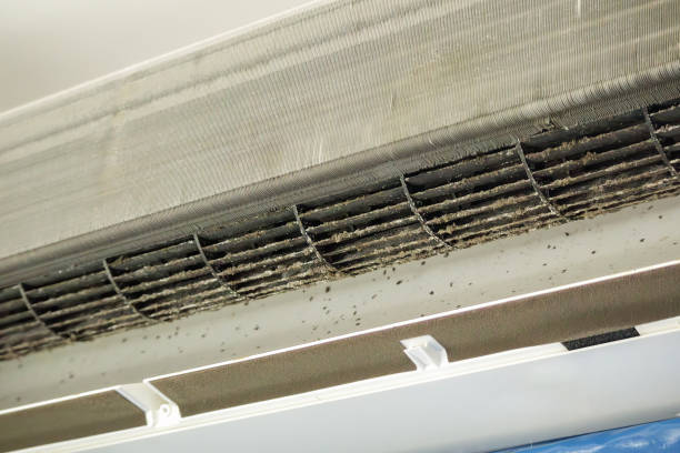 Best Local Air Duct Cleaning Services  in Grimes, IA